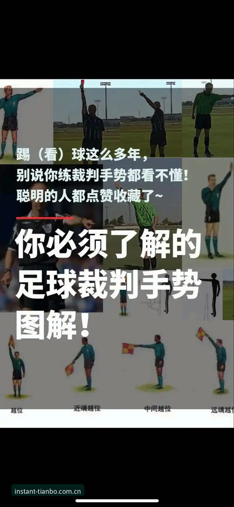 掌握世界杯裁判新规的实用技巧，天博电脑版官网赛事数据哪个好帮你解读